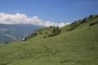 IMG-1656