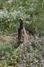 IMG-1692