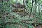 IMG-1764