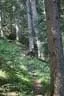 IMG-1794
