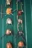 IMG-1807