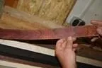 IMG-1931