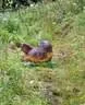 Parcours-2-9