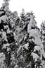 2012-01-14-Hollersbach-37