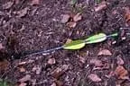 Lienz-100-121