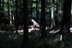 2012-05-19-Wasenmoos-073