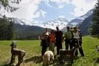19.-Rauris-117