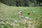 19.-Rauris-151
