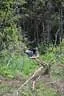 2013-Impressionen-Parcours-27