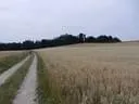 DSCN1462