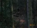 CIMG0153