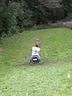 CIMG0332