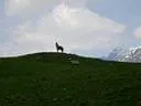 CIMG0018