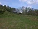 iseltal09-(10)