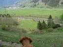 iseltal09-(35)