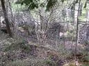 CIMG0849