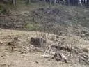 P4030049