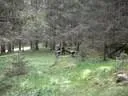 DSCN3367