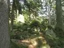 IMG-9018