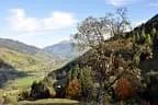 jochberg2010-89