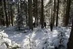 IMG-0197