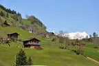 8. Losachturnier Bild 3
