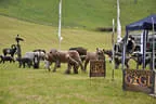 Eröffnung EBHC 2016 Bild 60