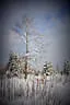 2016/17 Winterimpressionen Bild 47