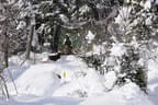 2016/17 Winterimpressionen Bild 53
