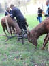 Kufsteiner Härtetest 2016 (Alexandra) Bild 81