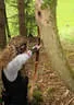 Jubiläumsturnier Losach Bild 20