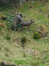 13. Glemmerhofturnier Bild 120