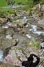13. Glemmerhofturnier Bild 124