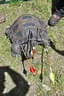 13. Glemmerhofturnier Bild 130