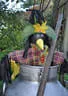 9. Jagdbogenmeisterschaft Bild 16