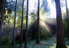 9. Jagdbogenmeisterschaft Bild 74