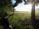 9. Jagdbogenmeisterschaft Bild 160