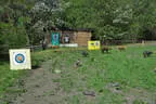 10 BSV Iseltal Turnier 2018 Bild 28