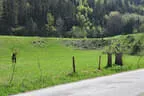10 BSV Iseltal Turnier 2018 Bild 80
