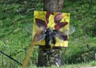 10 BSV Iseltal Turnier 2018 Bild 86