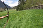 10 BSV Iseltal Turnier 2018 Bild 103