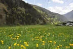 10 BSV Iseltal Turnier 2018 Bild 112
