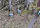 10 BSV Iseltal Turnier 2018 Bild 118