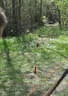 10 BSV Iseltal Turnier 2018 Bild 128
