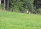 Spartan Race Oberndorf Bild 10