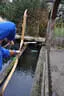 10. Abenberger Jagdbogenturnier 2018 Bild 37