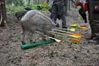 10. Abenberger Jagdbogenturnier 2018 Bild 63