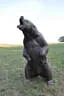 10. Abenberger Jagdbogenturnier 2018 Bild 87
