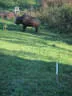 Kürbiskopfturnier 2018 Bild 33