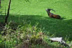 11. Iseltalturnier 2019 Bild 77